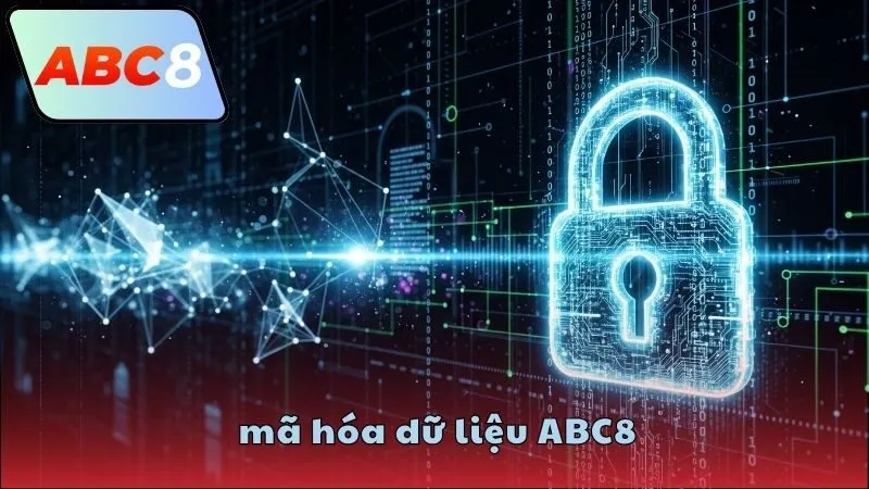 Mã hóa dữ liệu ABC8 là gì?